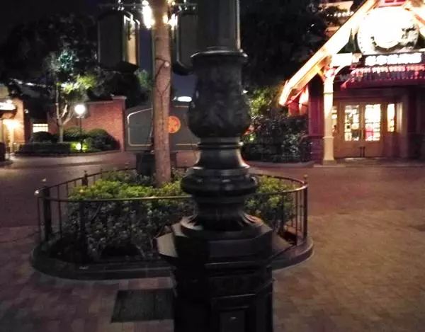  上海迪士尼度假区内的路灯灯柱。 王先生供图