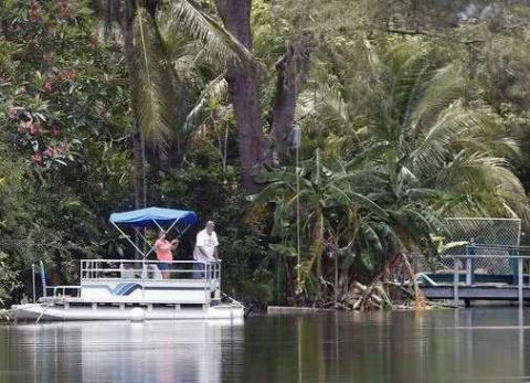 美国女子公园遛狗时遭鳄鱼袭击身亡 目击者讲