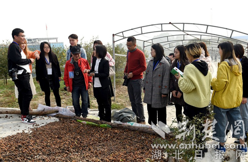 通城县2020年GDP_2020年咸宁通城城市发展建设投资(集团)有限公司招聘20人公告(...