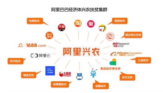 从常年滞销到畅销11国 农业合作社借阿里跨境