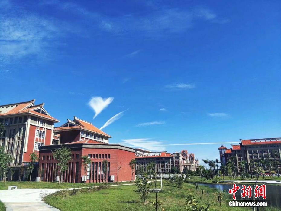 SW277，在线视频资源探索与剧情介绍