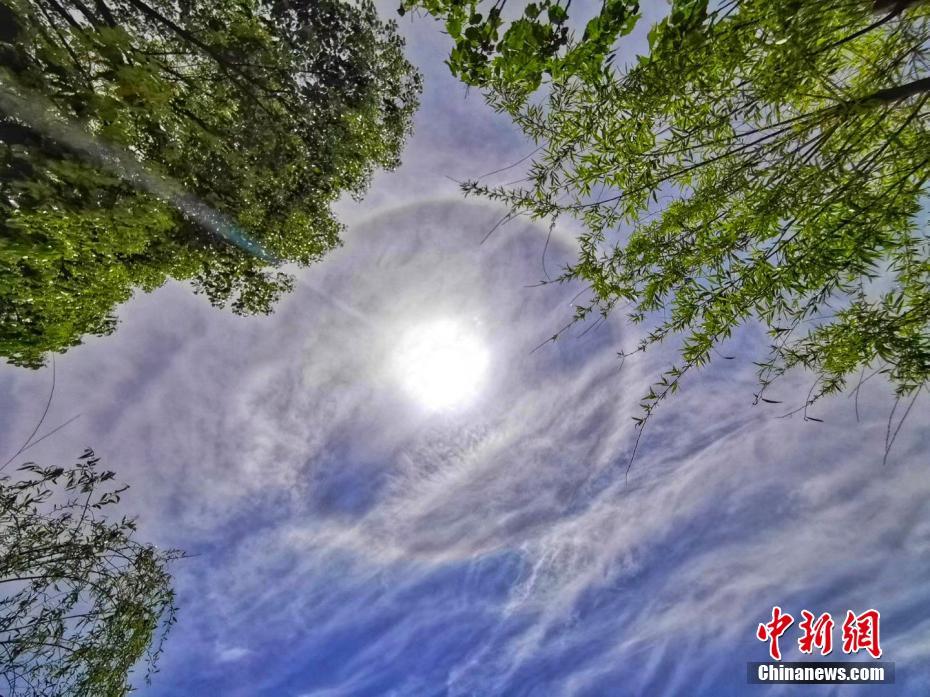Laney Grey，在线视频资源与剧情介绍