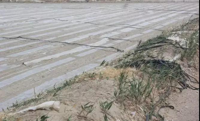 苏联顶峰时期经济总量_苏联时期世界地图(3)