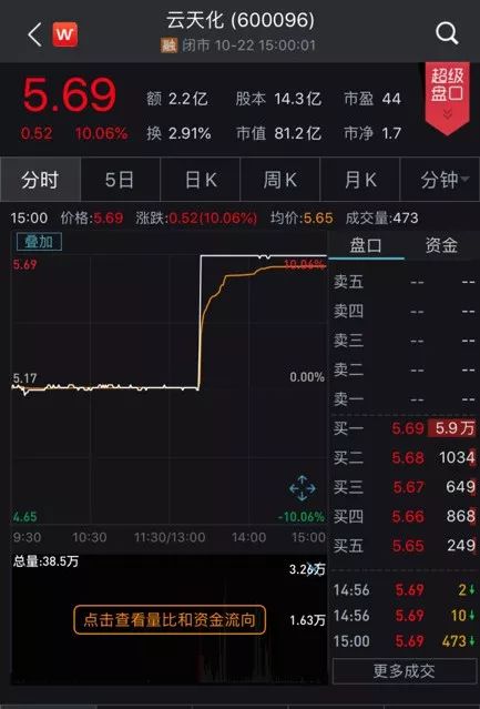 人民币赌博游戏机 - 流浪狗野外产子,网友花费数小时救助成功,值得称赞