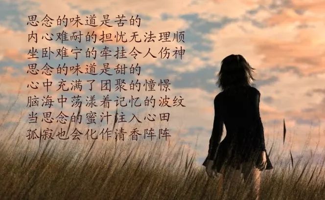 你曾经是我拼命爱过的人口琴曲_你是我曾经拼命爱的人(2)