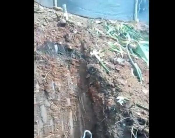 男子路过挖掘机现场,竟发现一条蓝白色的蛇,这是什么