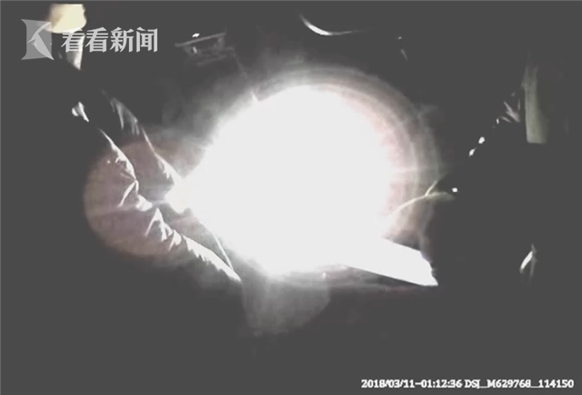 黑人口之视频_人口普查