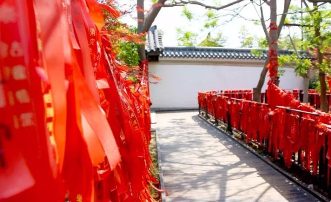 心“宿”春天,情“迁”一周的春色惊喜~