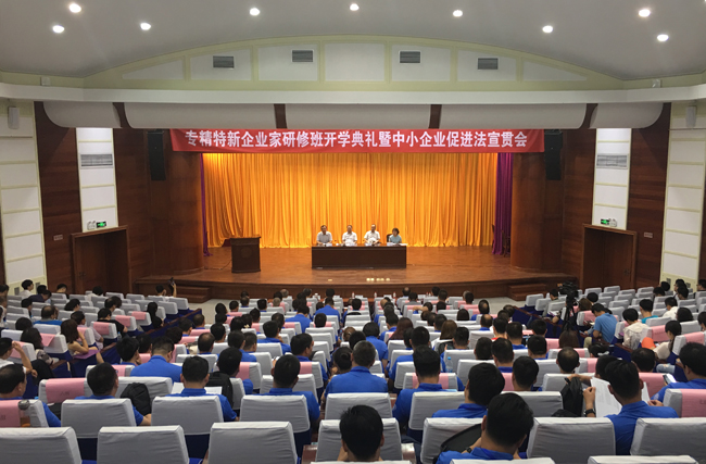 天津市2018年度中小企业专精特新企业家高级