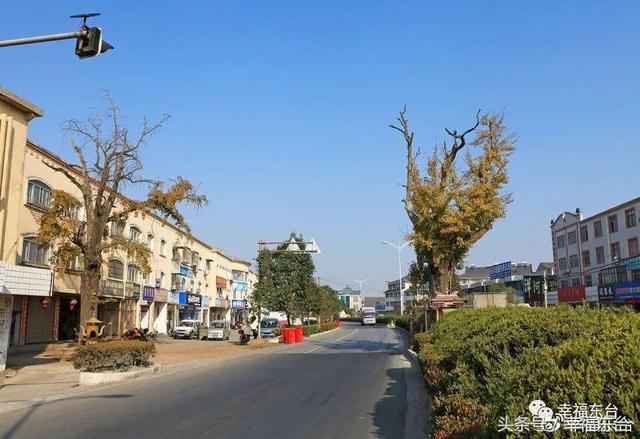 东台又一重点交通工程启动了!