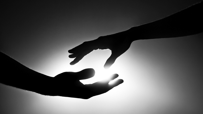 国际化大都市的乡村振兴之路怎么走?侨界人士