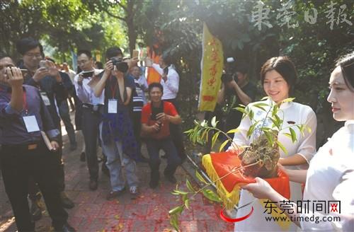 东莞发改局副局长王钊鸿谈规划先行助推乡村振兴