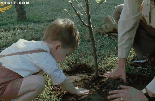 他失去了躺在草地上看天空的机会,失去了在沙堆里打滚的美妙,失去了