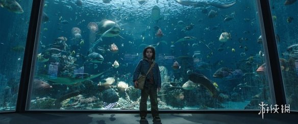 四年后回归!DC《海王2》定档22年!温子仁再执导筒