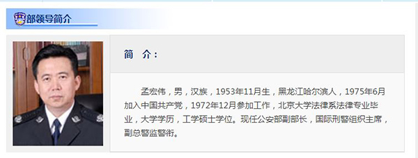 更新后公安部官网孟宏伟简历