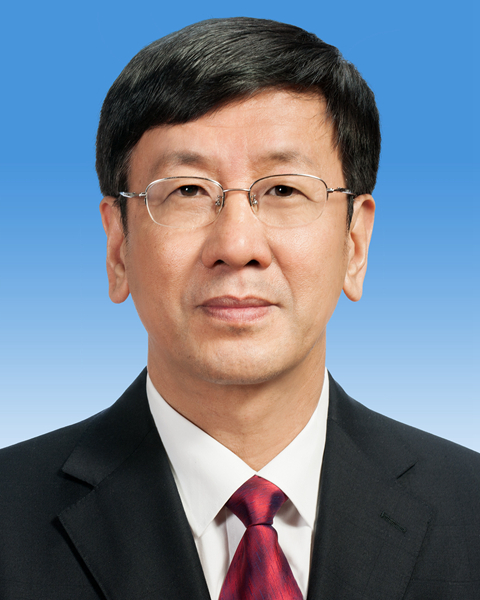 第十三届全国人民代表大会常务委员会副委员长