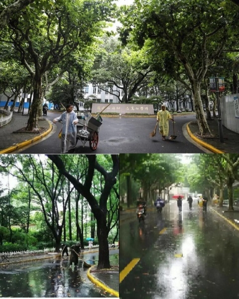 台风接踵而至 复旦从容应对风雨影响