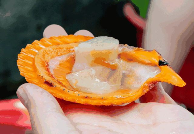 开在巷子的9年老店,想吃还要走后门