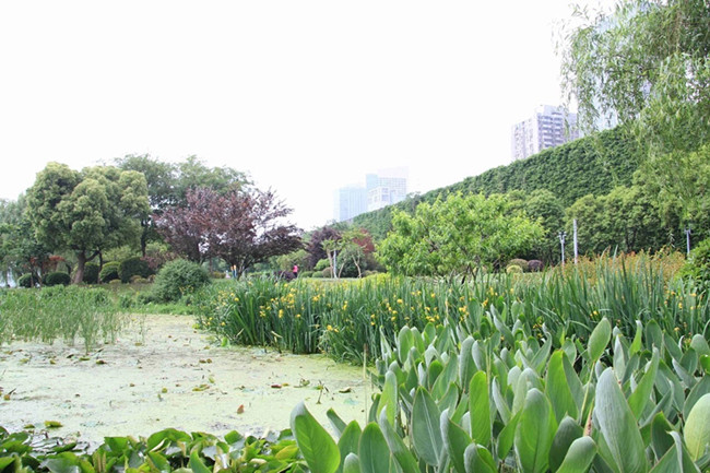 南京市中心有一处国家水利风景区,你一定猜不