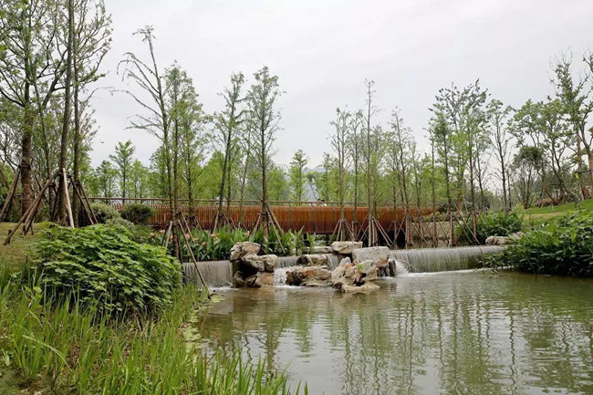 南京市中心有一处国家水利风景区,你一定猜不