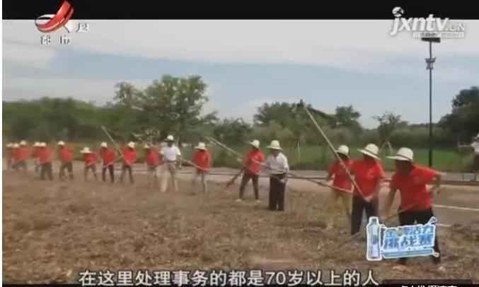 沙巴体育app软件-赵丽颖深夜发博疑对《有翡》改编不满,配角加戏影响主角?