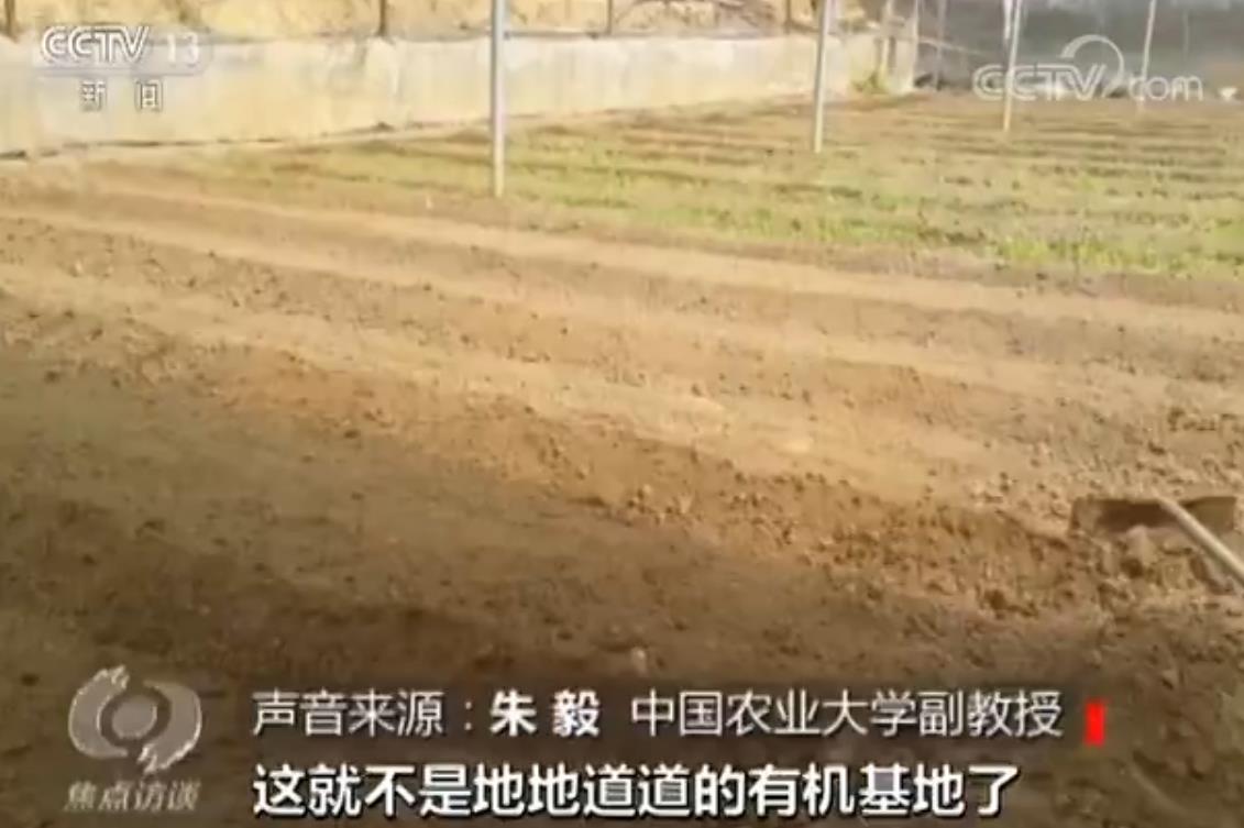 记者取了一些发现的尿素和土壤进行检测。经检测，朱毅副教授告诉记者，“取回来的尿素在实验室里面检测，它确确实实是尿素，不是说尿素袋子里面装的其它的东西。”同时检测发现，土壤疑似有农药残留。