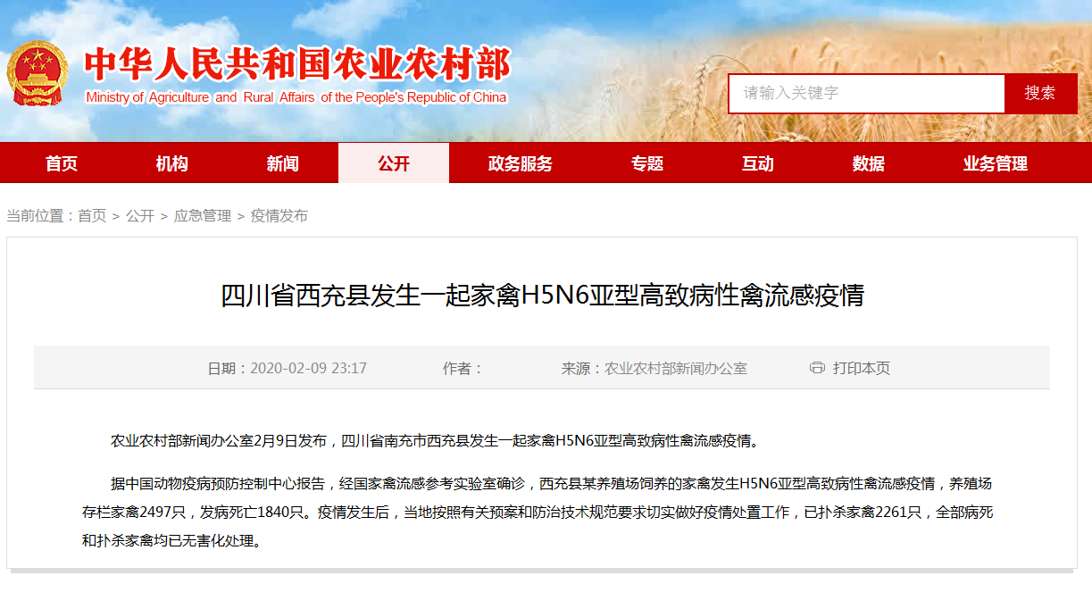 四川西充县发生H5N6禽流感消息 四川湖南亚型禽流感最新消息2020
