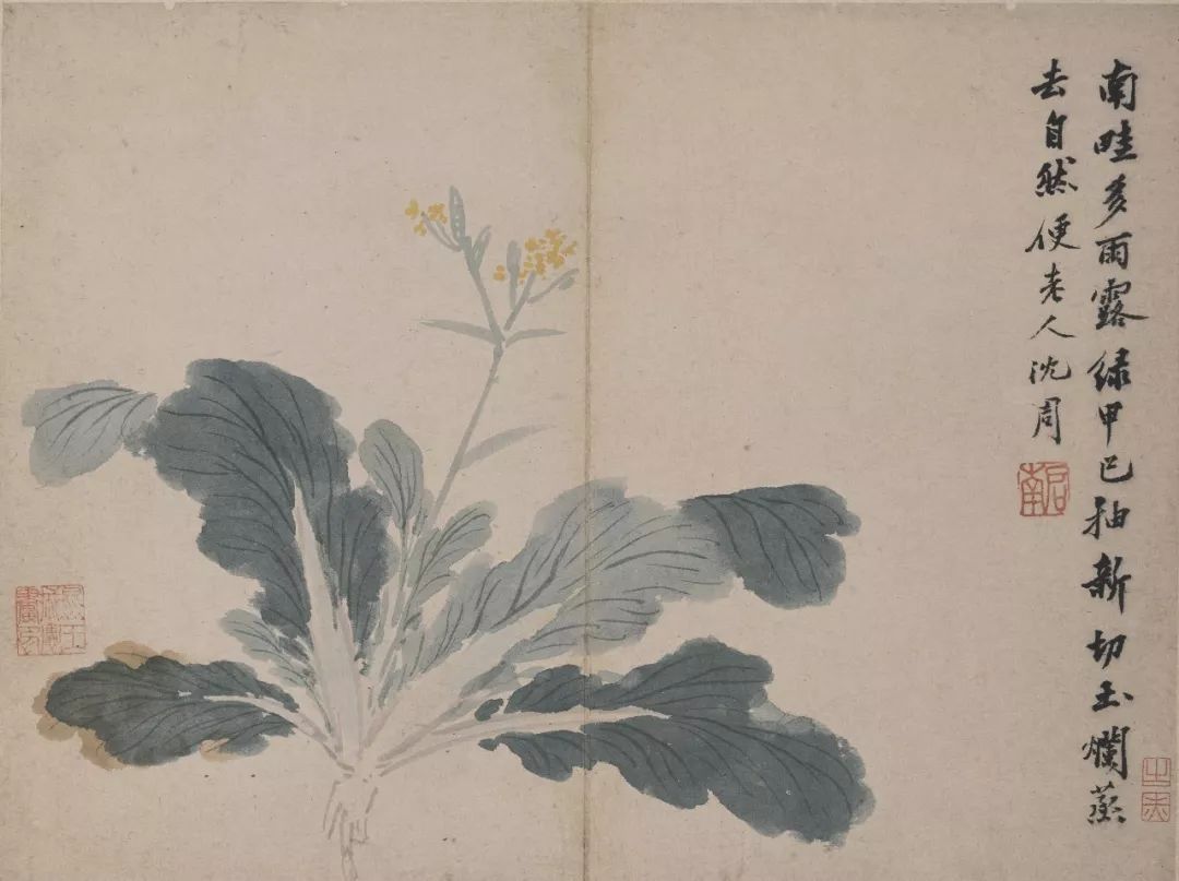 沈周的《卧游》