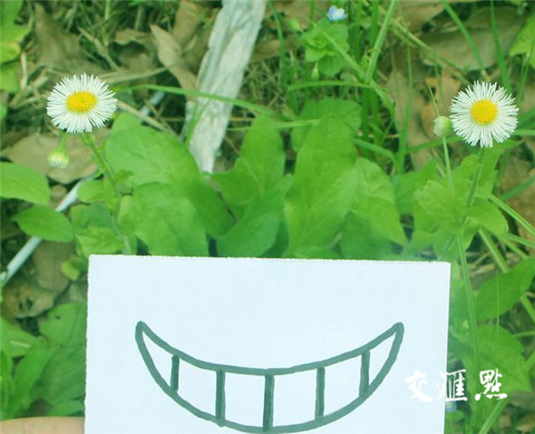 拍照怎样使笑脸自然 xZ07-haichqz8930616.jpg