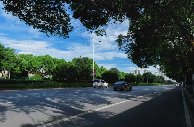 鄂州厉害了！将迎来1所重点大学+1条跨城地铁(图13)
