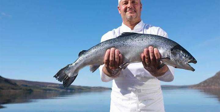 吃的到底是不是三文鱼 类专家揭开大西洋鲑和