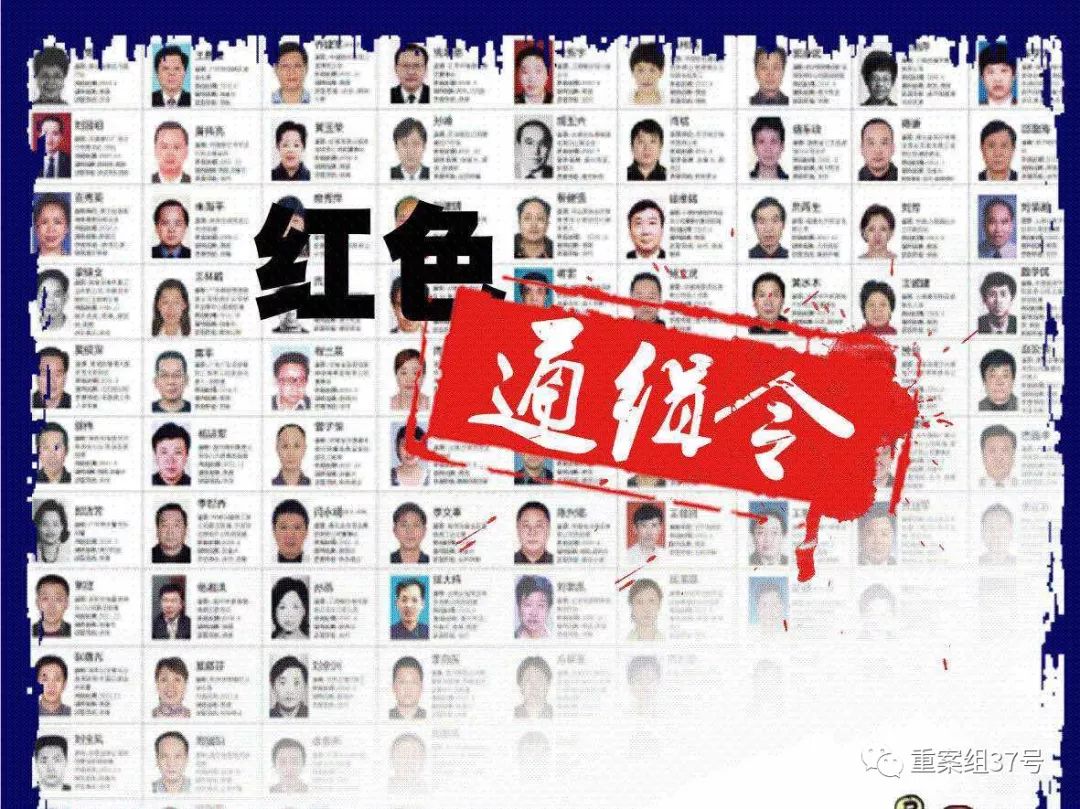 ▲2015年,刘梦平被列入红色通缉令名单。