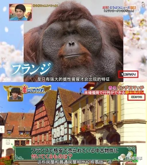 把日韩艺人照片P成遗照 国内综艺再次刷新下限