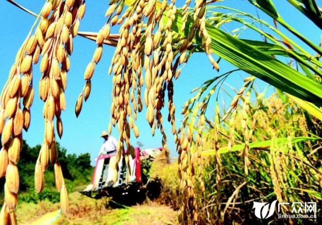 关注稻米供给侧改革: 2018年稻谷最低收购价下