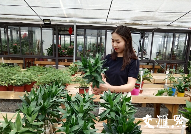 昆山推进乡村人才振兴出新招:新型职业农民可