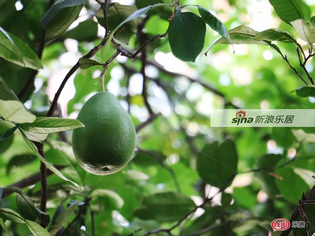 实探九江浔阳区棚改拆迁前最后一幕,有你的回