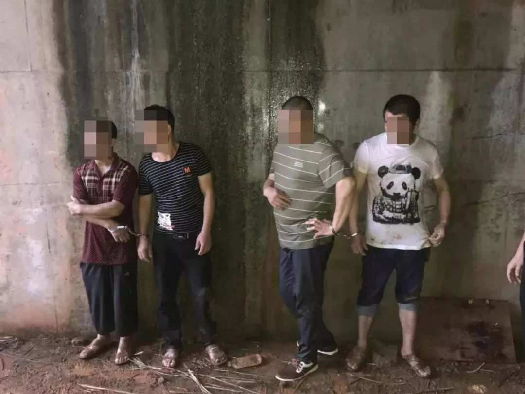 10多名男女半夜躲进山里偷偷干这事!原来他们... 10多名男女半夜躲进山里偷偷干这事!原来他们...