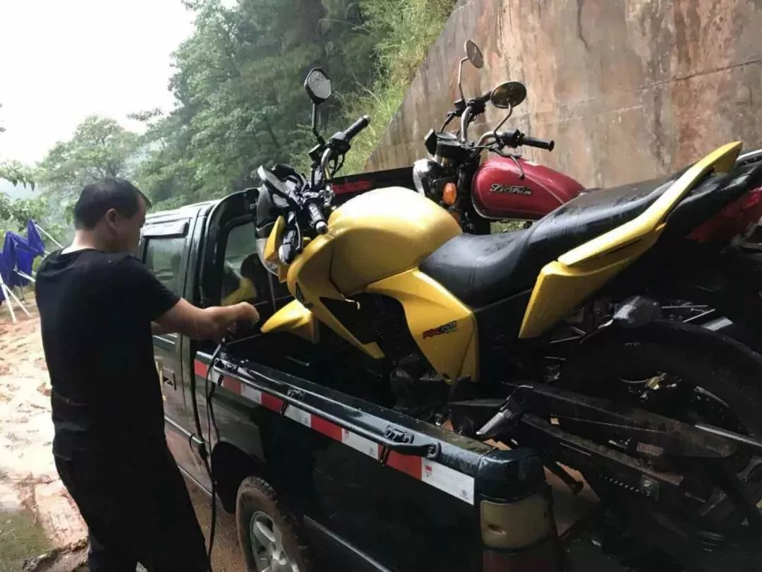 10多名男女半夜躲进山里偷偷干这事!原来他们... 10多名男女半夜躲进山里偷偷干这事!原来他们...