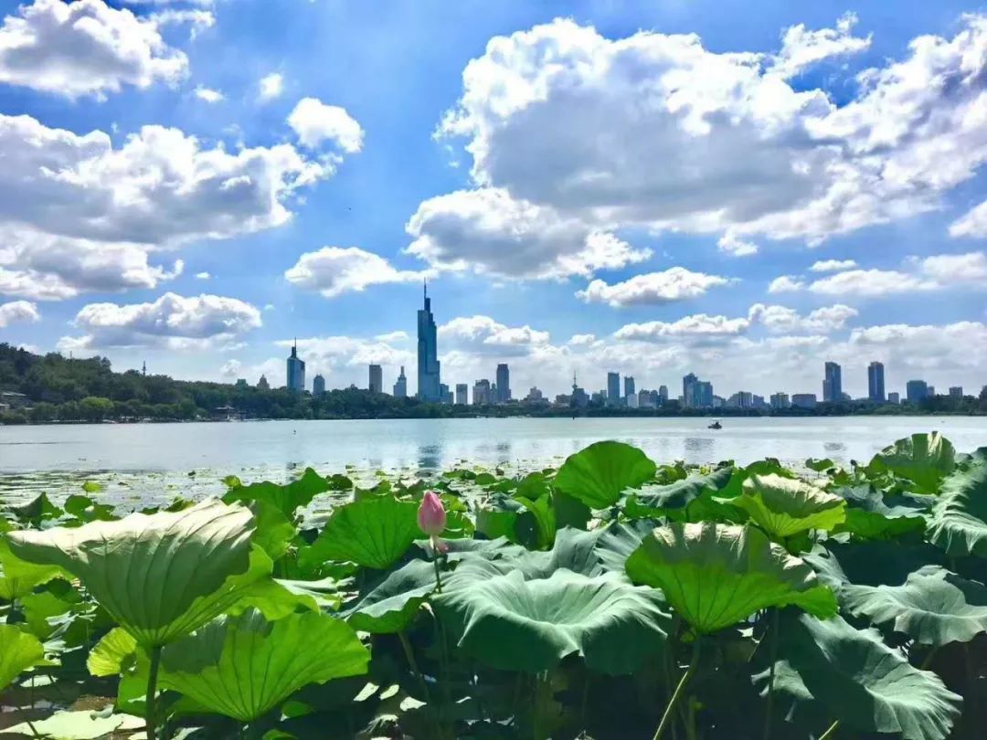 南京的蓝天白云美美美美美翻了!图片