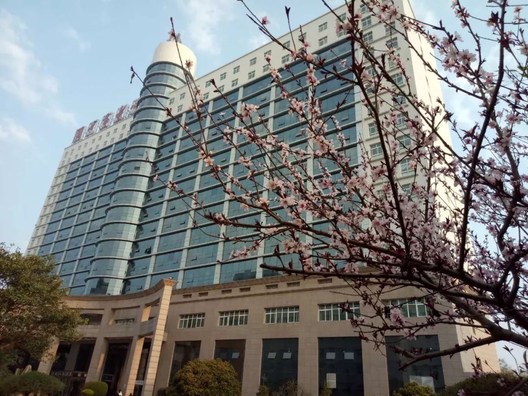 周口市中心医院招聘啦,待遇优厚、专业选择多