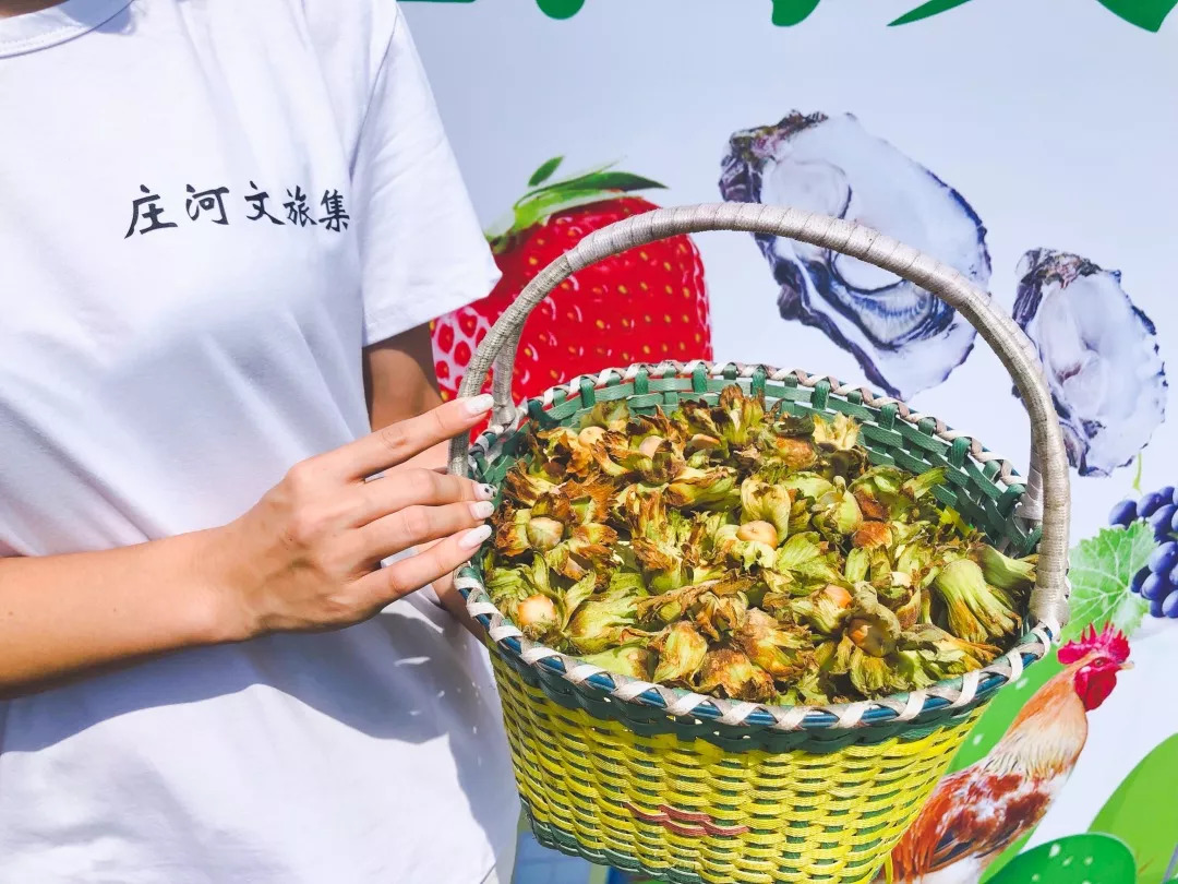 庄河吸引人口_庄河地图