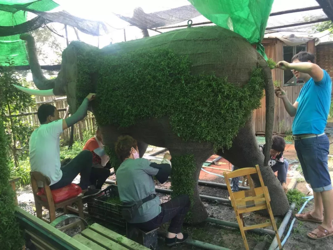 喜迎第十届中国沧州国际武术节和“双节”到来，17组五色草造型即将亮相狮城