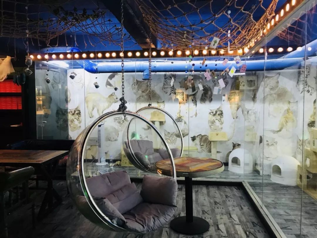 拉开之后你会瞬间觉得这里就是网红打卡聚集地!