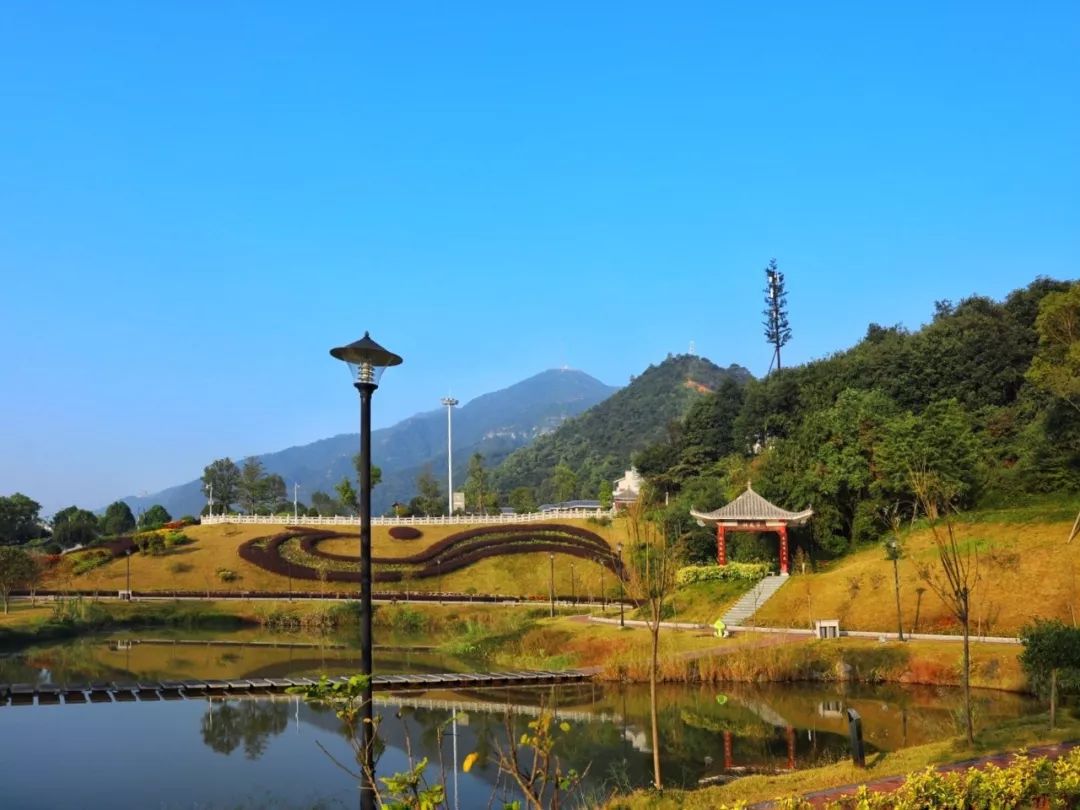 肇庆城区新增一大型公园！凤仪湖公园即将动工建设