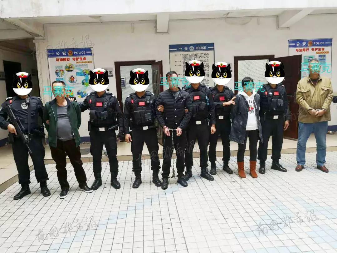 图片来源:南国都市报