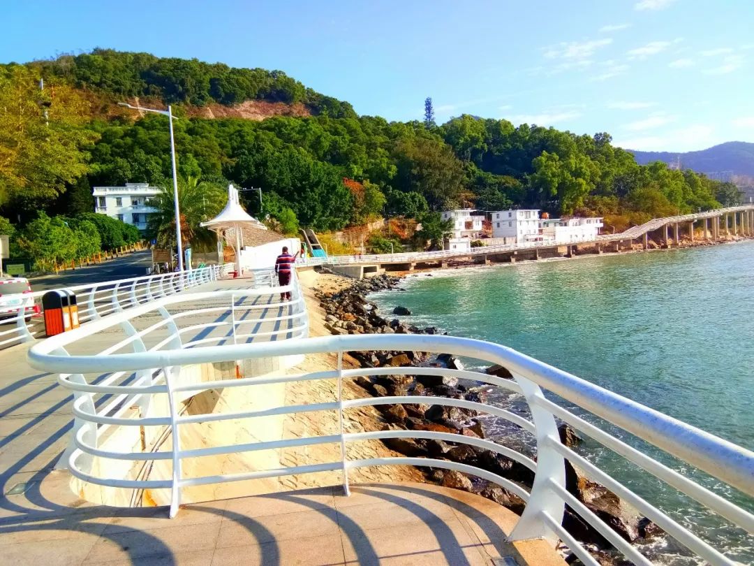 深圳又有一个市区景点要开放了!免费又好玩~