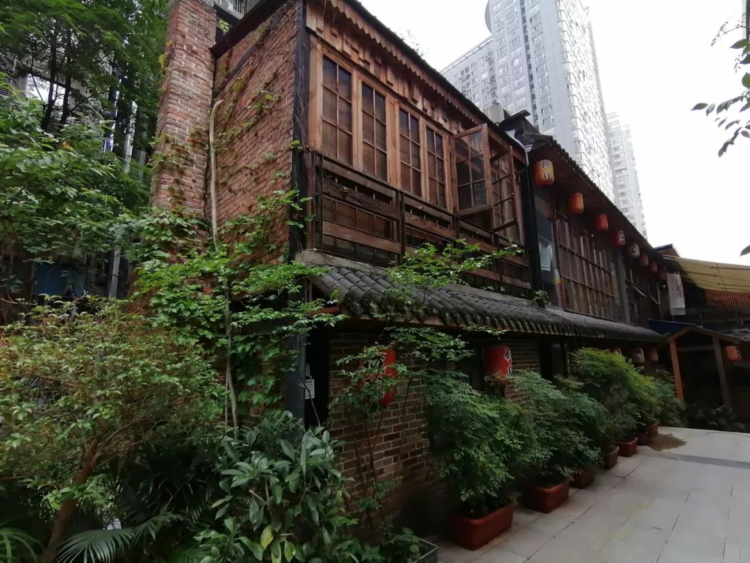 荣耀20i发布，新鲜出炉的小姐姐自拍来啦！