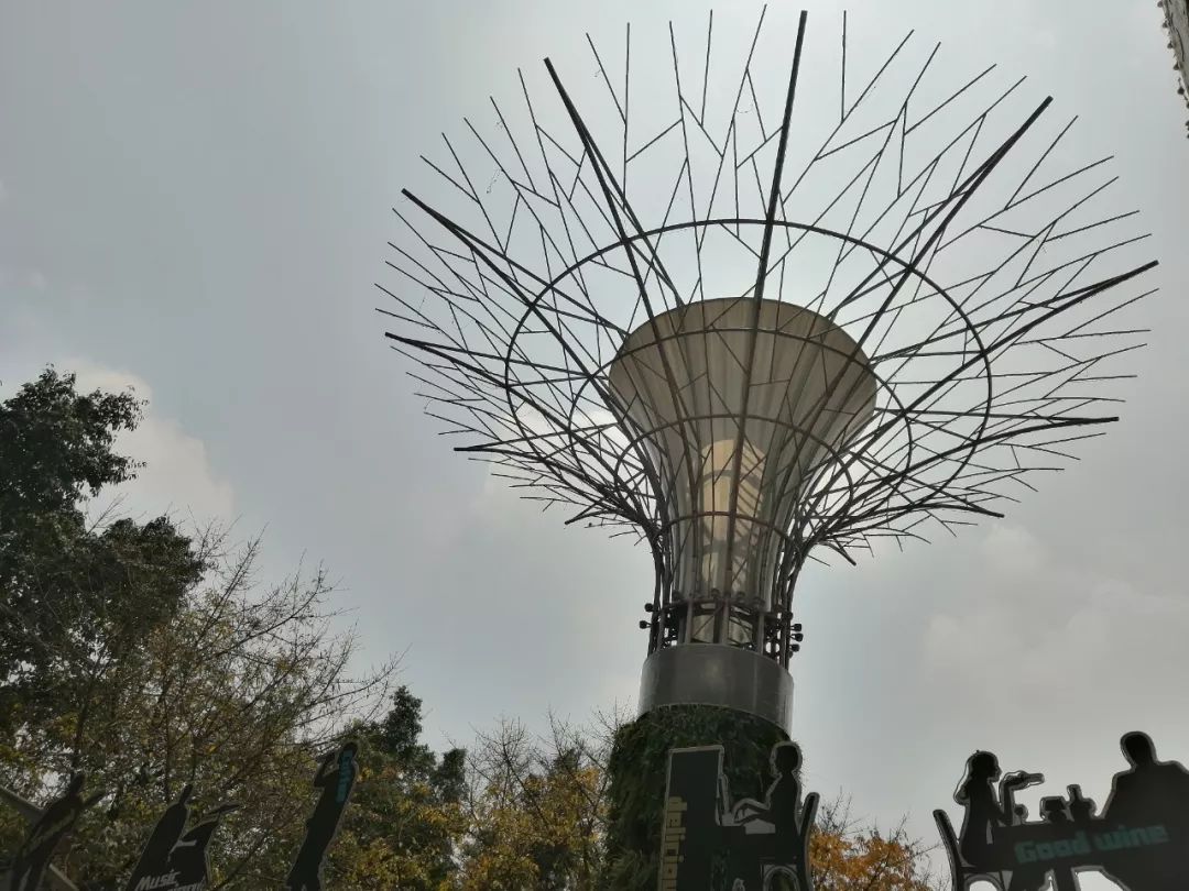 荣耀20i发布，新鲜出炉的小姐姐自拍来啦！