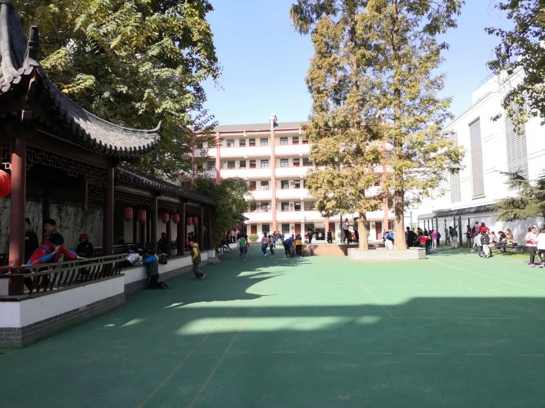 走在春天路上的 郑州市惠济区大庙小学-“小小的种子，大大的梦想”