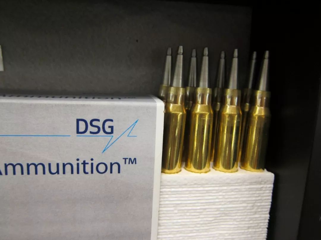 ▲DSG技术公司展示的子弹(美国《防务评论》网站)
